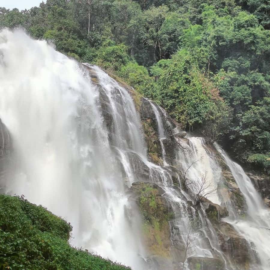 Private Tour Doi Inthanon, Trekking Kew Mae Pan Nature Trail - Why Doi Inthanon works as a full-day trip