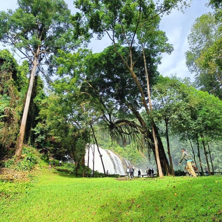 Private Tour Doi Inthanon, Trekking Kew Mae Pan Nature Trail - Reaching Thailand’s highest point at 2,565 meters