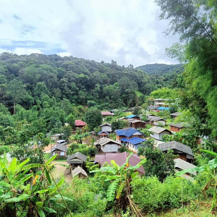 Private Tour Doi Inthanon, Trekking Kew Mae Pan Nature Trail - Is $141 per person good value?