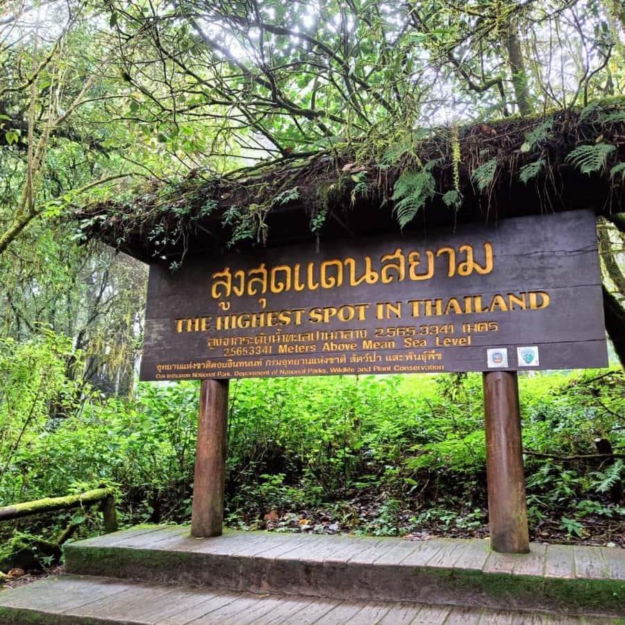Private Tour Doi Inthanon, Trekking Kew Mae Pan Nature Trail - The long ride from Chiang Mai