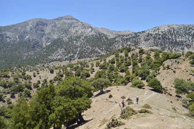 Private Trekking Rouvas Gorge - From Heraklion to Lake Zaros at 9:00