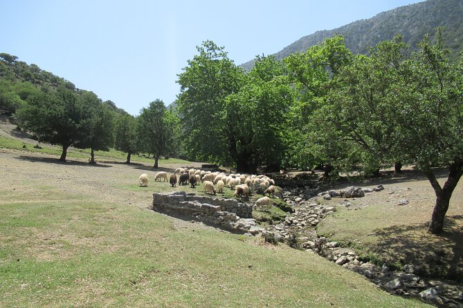Private Trekking Rouvas Gorge - Lake Zaros and the Start of the E4 Trail