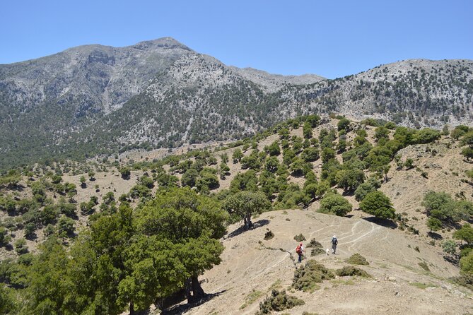 Private Trekking Rouvas Gorge - Ai Giannis Offers a Useful Mountain Break