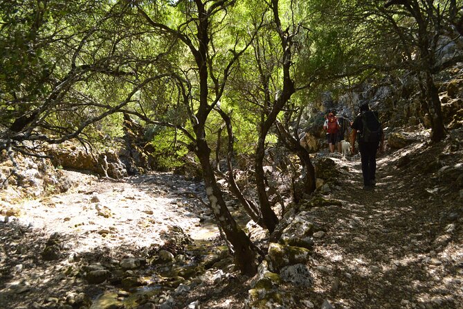 Private Trekking Rouvas Gorge - Who Should Book This Hike?
