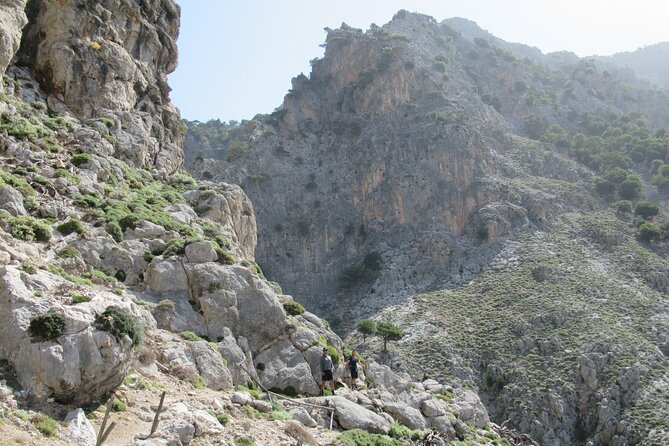 Private Trekking Rouvas Gorge - Walking Along the River in Agios Nikolaos Gorge
