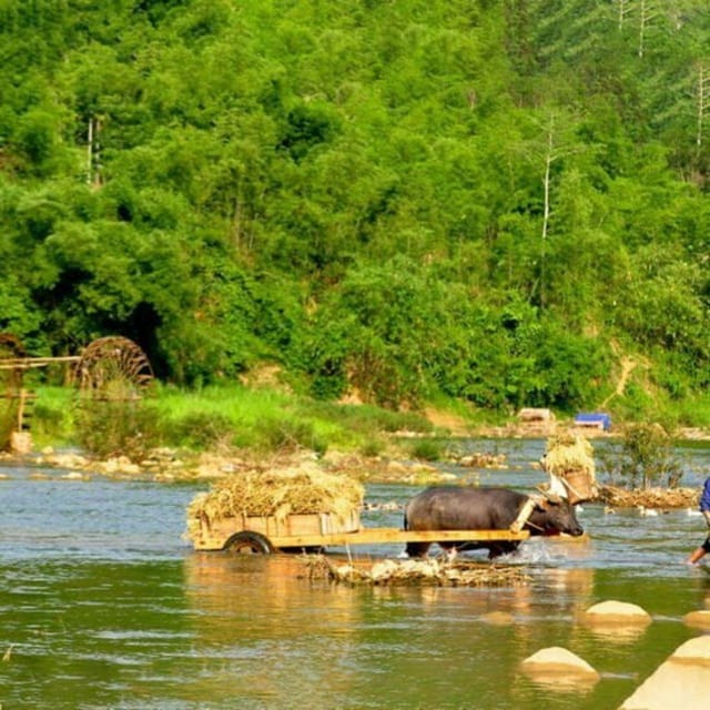 Pu Luong 2 Days 1 Nights - Offbeat Trekking Tour - Day two: water wheels, rice fields, and bamboo rafting
