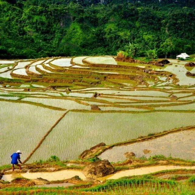 Pu Luong 2 Days 1 Nights - Offbeat Trekking Tour - Guides, group size, and the pace of the tour