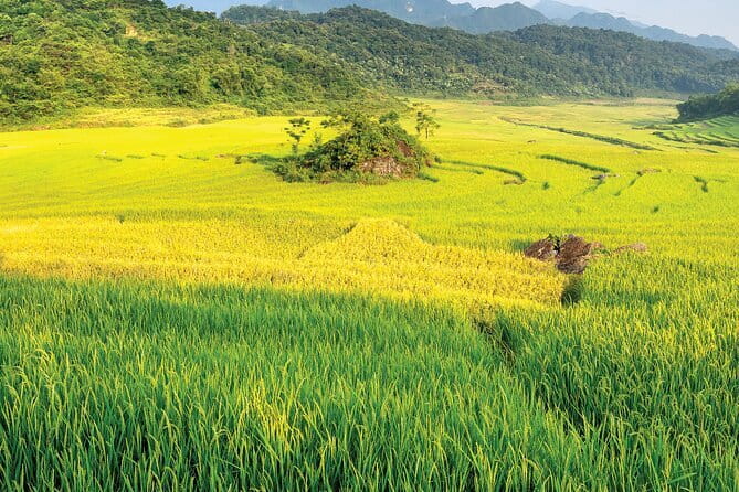 Pu Luong 3-Day Adventure: Trekking, Cycling & Local Cooking Class - Key things to know before booking