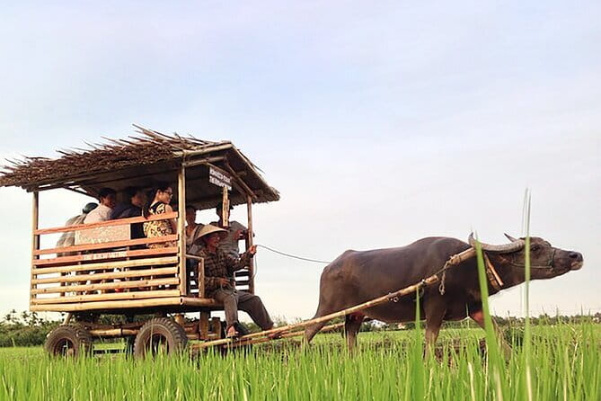 Pu Luong 3-Day Adventure: Trekking, Cycling & Local Cooking Class - Why Pu Luong makes a good three-day escape