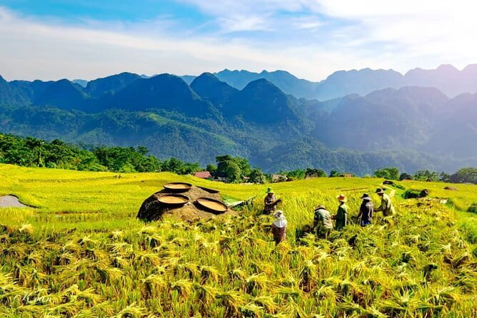 Pu Luong 3-Day Adventure: Trekking, Cycling & Local Cooking Class - Day 2: Silk, waterwheels, and a family cooking class