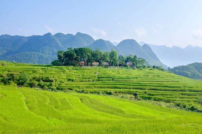 Pu Luong 3-Day Adventure: Trekking, Cycling & Local Cooking Class - Day 3: Bamboo rafting and a quieter trip home