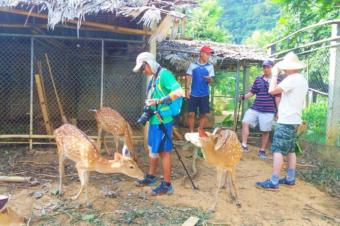 Pu Luong Explorer: 3-Day Trekking & Authentic Village Stay - Day 1: Arrival and the first taste of village life