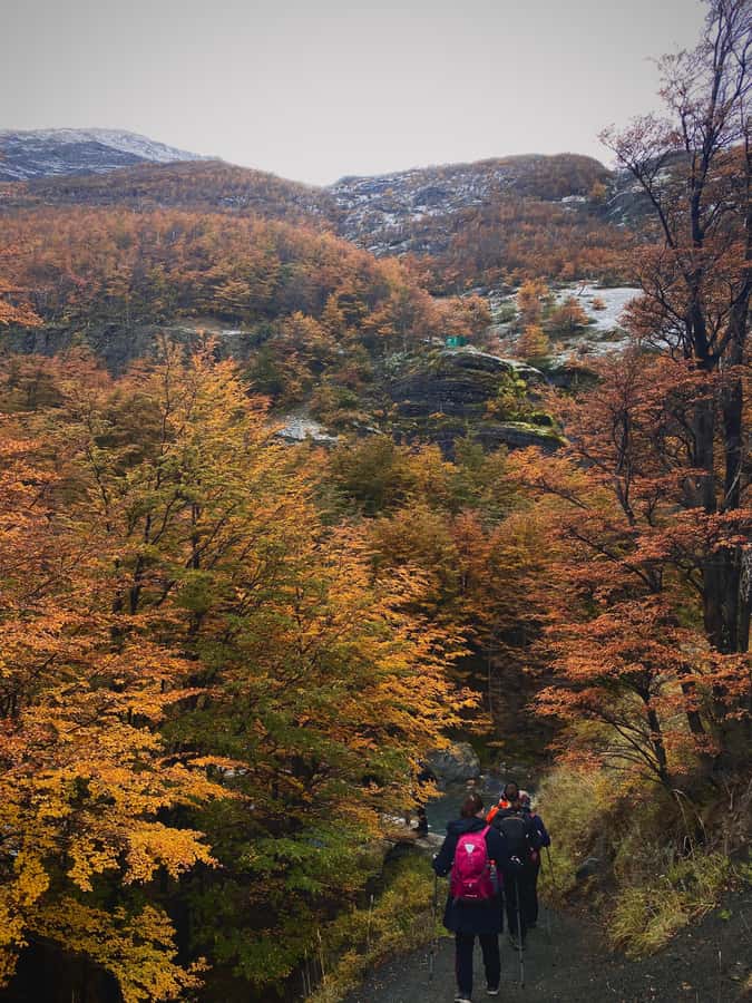 Puerto Natales: Base of the Towers Trekking Experience - The moraine and the final climb to 890 meters