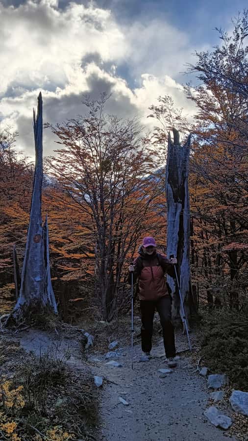 Puerto Natales: Base of the Towers Trekking Experience - What the $95 price really covers