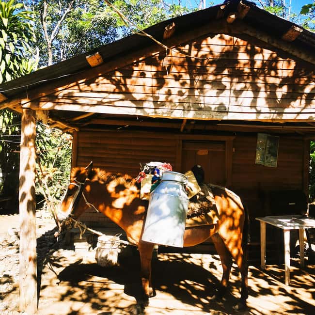 Puerto Plata Trekking - Experience of Nature and Folklore - The mountain lagoon swimming stop