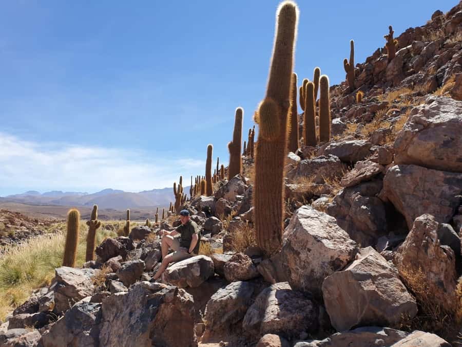Purilibre Trekking - From San Pedro to the Puritama Canyon