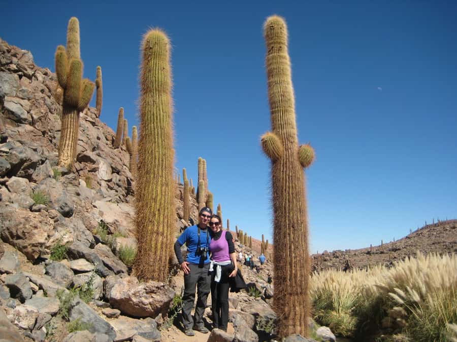 Purilibre Trekking - Walking beside the Puritama River