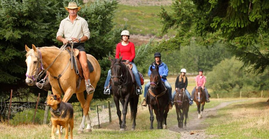 Queenstown: Walter Peak Horse Trek & Queenstown Lake Cruise - Why the cruise belongs in the plan
