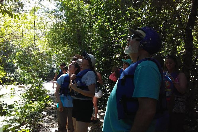 Rainforest Trek to Natural Pool - Taino Bay & Amber Cove ports - Swimming at the natural pool