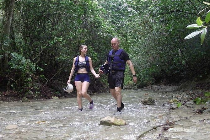 Rainforest Trek to Natural Pool - Taino Bay & Amber Cove ports - The forest walk to Damajagua Waterfalls