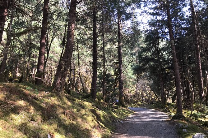Rainforest & Waterfalls Trek - The rainforest trail, from easy walking to honest uphill work