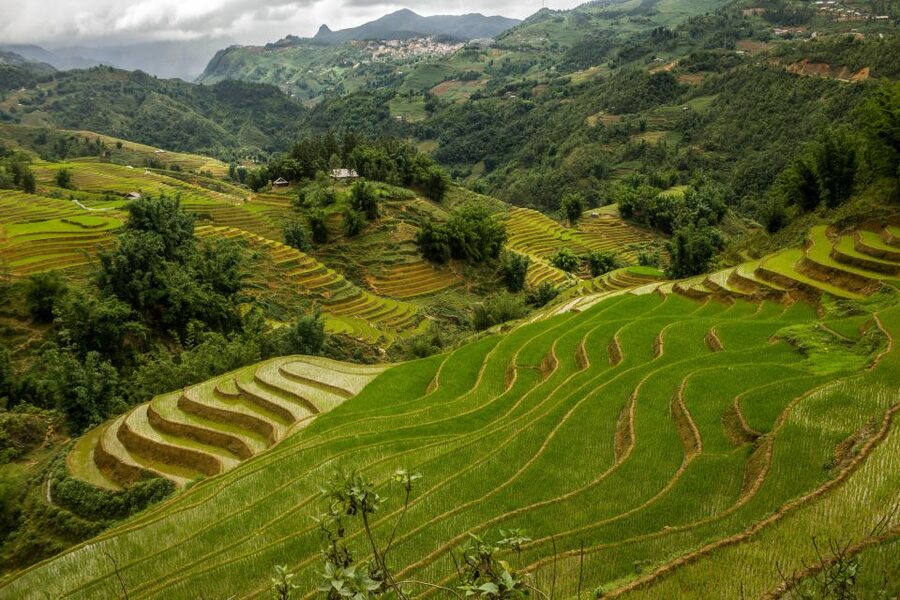 Red Dao Village Trek and Herbal Bath - What $38 gets you