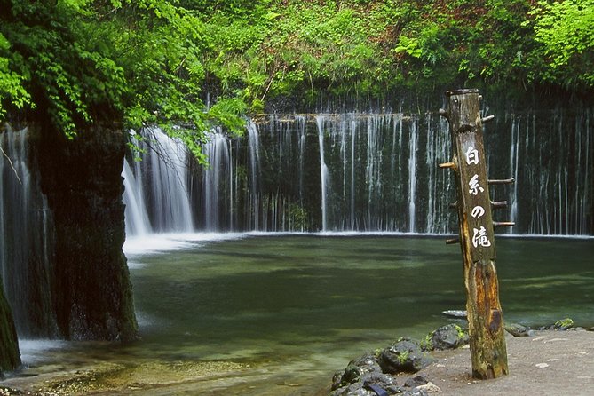 Relax and refresh in Karuizawa Forest! Shinanoji down trekking around two people - Key points to know before booking