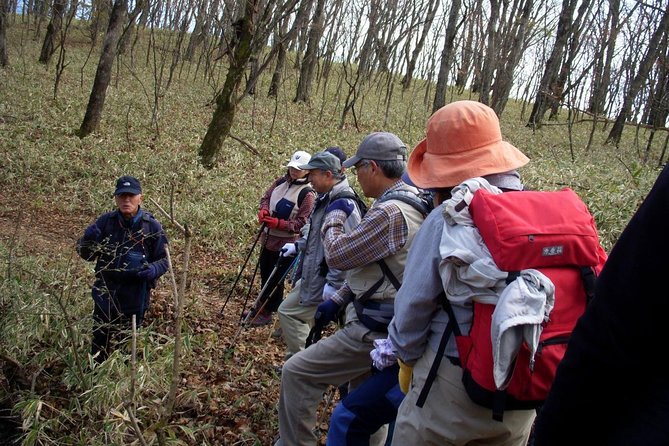 Relax and refresh in Karuizawa Forest! Shinanoji down trekking around two people - Starting at Minenochaya and letting the trail descend