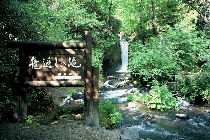 Relax and refresh in Karuizawa Forest! Shinanoji down trekking around two people - Private guiding and the value of the $67.60 price