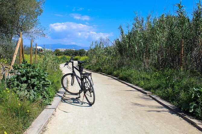 Rent a Trekking bike: Full Day 24 hours - Is the bicycle good enough for longer riding?