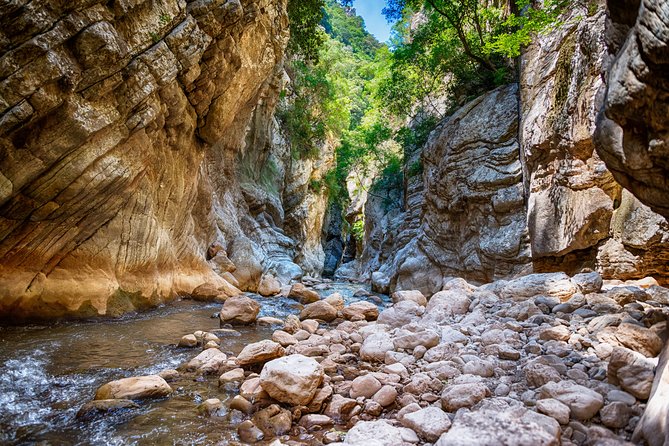 River Trekking in Neda - Picnic food and what is included