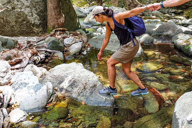 River Trekking to the Waterfall in Andros - Who Should Choose This Andros Adventure?