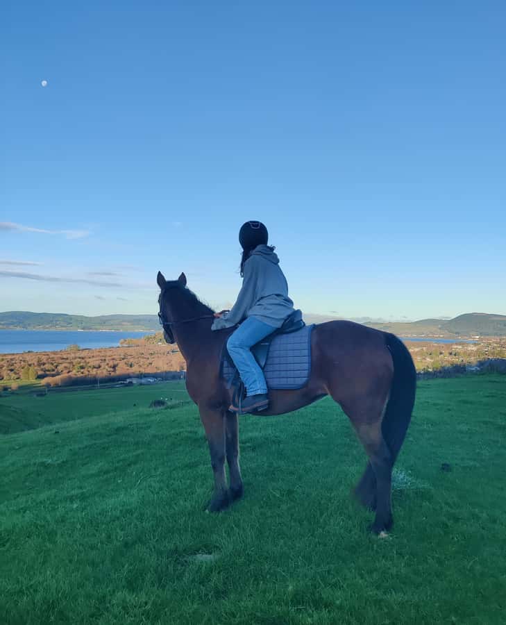 Rotorua: Scenic Horse Trek - Riding out from Adventure Playground