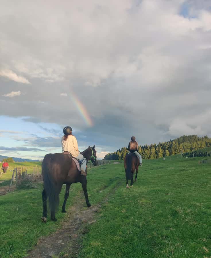 Rotorua: Scenic Horse Trek - Rolling farmland near Mt Ngongotaha