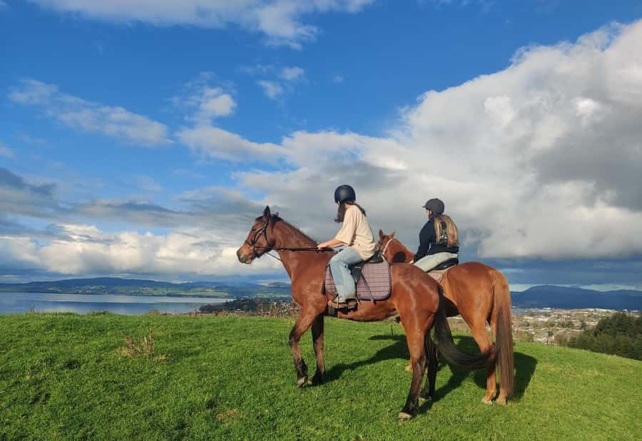 Rotorua: Scenic Horse Trek - The first minutes: getting comfortable in the saddle