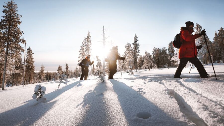 Rovaniemi: Lapland Ski Trekking Safari - Key points at a glance