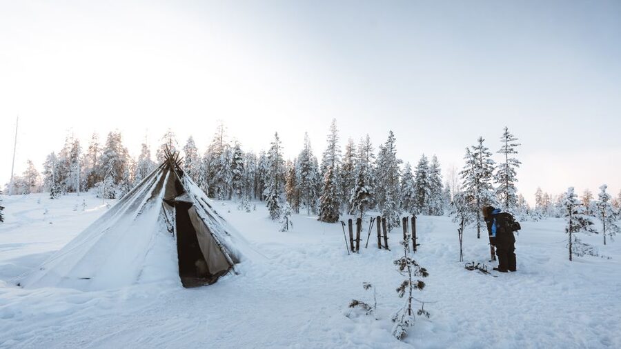 Rovaniemi: Lapland Ski Trekking Safari - Who should book this safari?