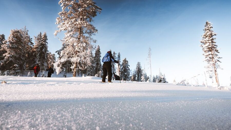 Rovaniemi: Lapland Ski Trekking Safari - Forest tracks, hills, and frozen lake views