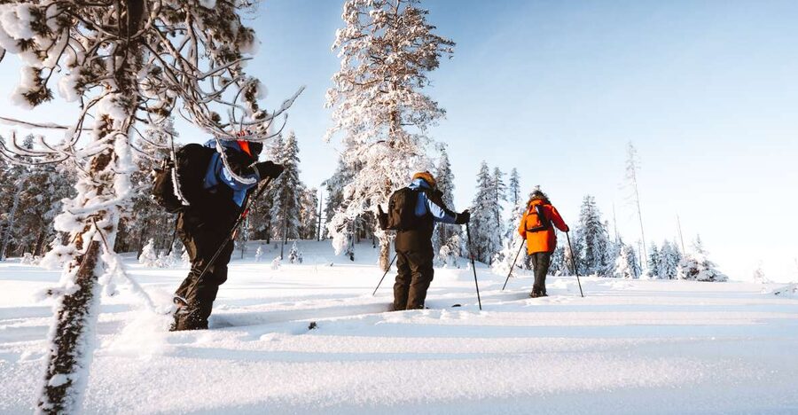 Rovaniemi: Lapland Ski Trekking Safari - What the four hours feel like
