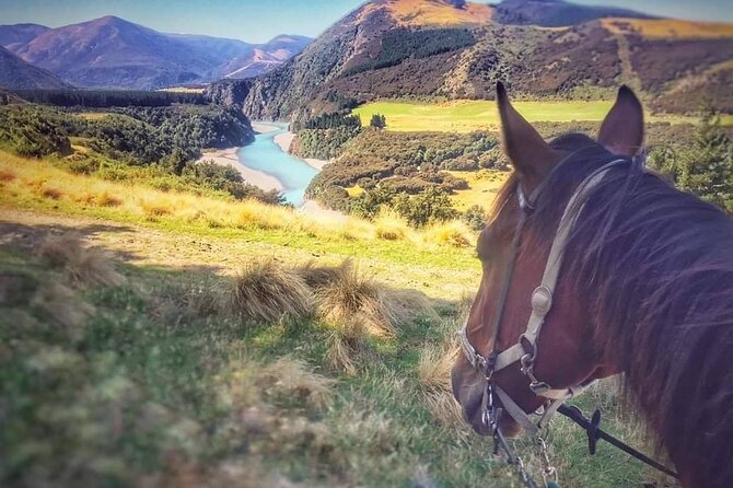 Rubicon Valley Horse Treks - 2 Hour River Trail Horse Trek - The lookout stop and photo break