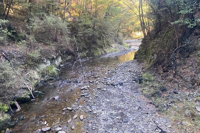 Rubicon Valley Horse Treks - 2 Hour River Trail Horse Trek - Is the $91.47 price good value?