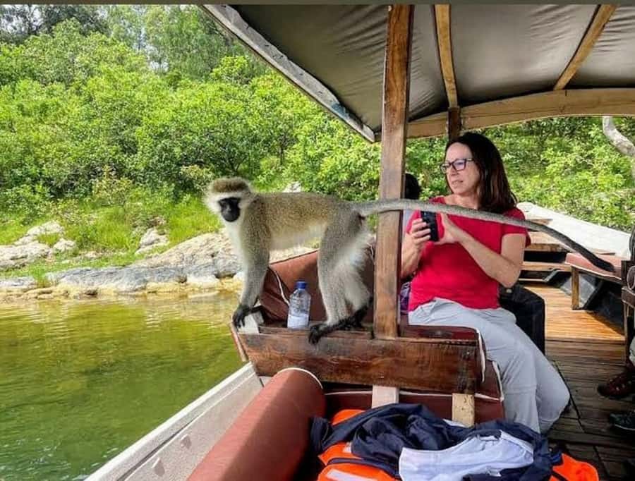 Rwanda: 3-Day Chimpanzee Trekking, Canopy, and Lake Kivu … - The early chimpanzee search in Nyungwe