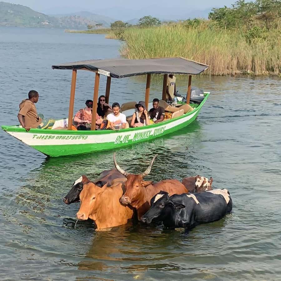 Rwanda: 3-Day Chimpanzee Trekking, Canopy, and Lake Kivu … - The five-hour return to Kigali