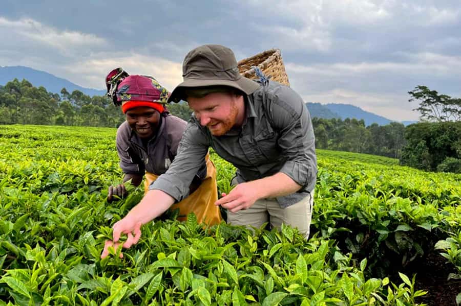 Rwanda: 3-Day Chimpanzee Trekking, Canopy, and Lake Kivu … - Is $860 per person good value?