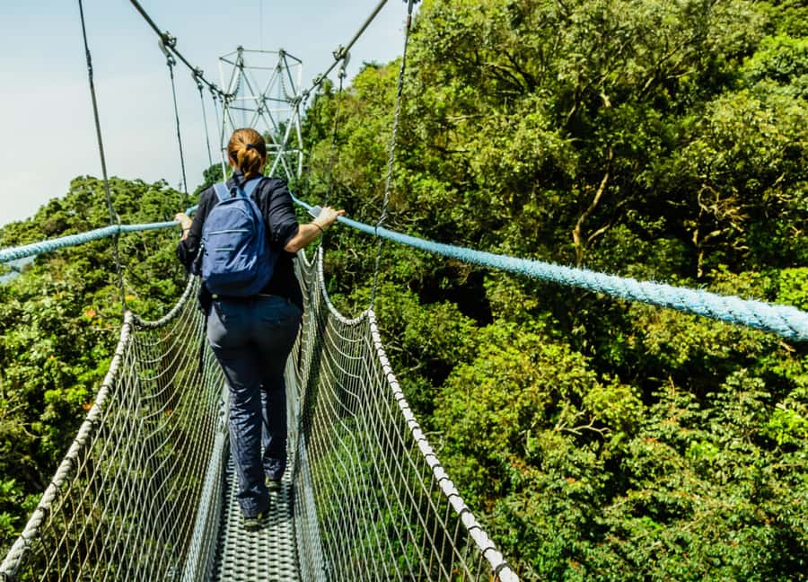 Rwanda: 3-Day Chimpanzee Trekking, Canopy, and Lake Kivu … - Walking above the Nyungwe treetops