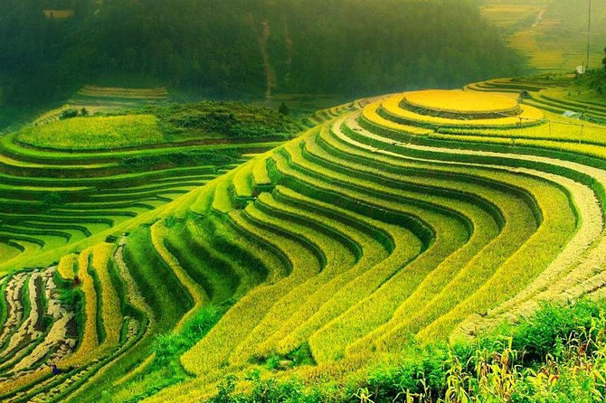 Sa Pa 2-Day Moderate Trek and Homestay Limousine Tour from Hanoi - The 6:45 a.m. limousine departure from Hanoi