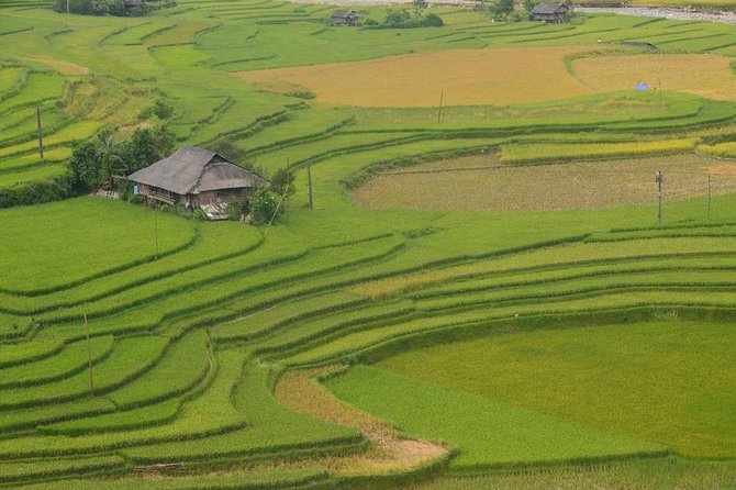 Sa Pa 2-Day Moderate Trek and Homestay Limousine Tour from Hanoi - Ta Van homestay and the first day
