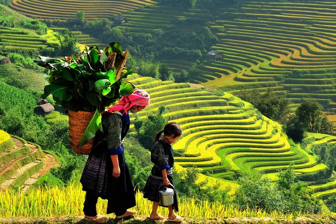 Sa Pa 2-Day Moderate Trek and Homestay Limousine Tour from Hanoi - Arriving in Sa Pa and meeting the mountain communities