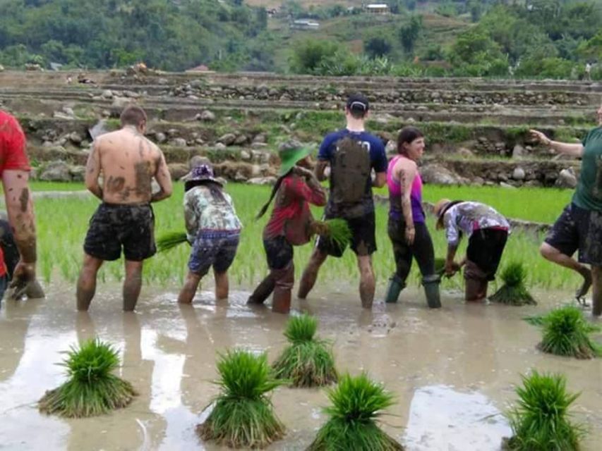 Sa Pa: 2-Day Trekking Trip with Ethnic Minority Homestay - Day Two: Bamboo Forest, Waterfall, and the Muong Hoa River