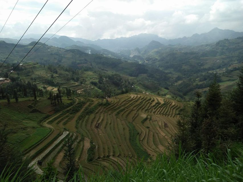 Sa Pa: 2-Day Trekking Trip with Ethnic Minority Homestay - Should You Book This Two-Day Homestay Trek?